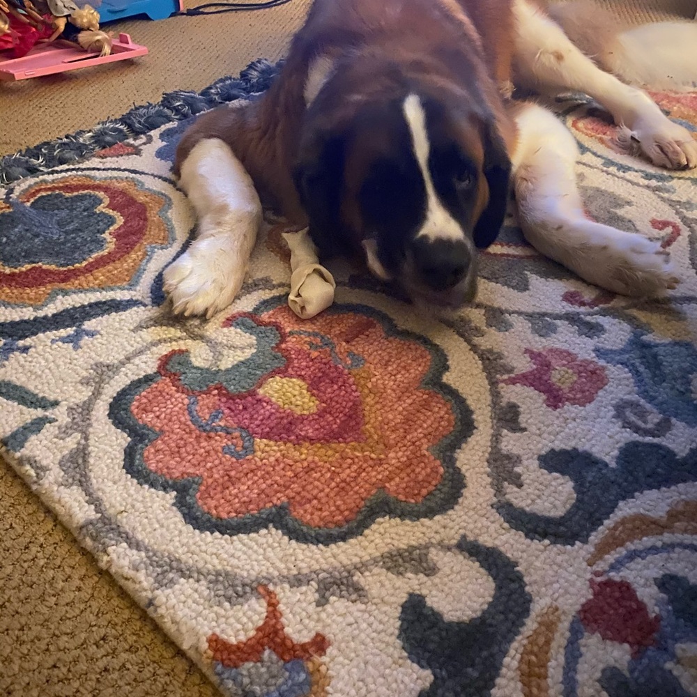 Meet your Posher, Jeffrey